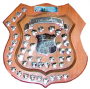 The Ib Thulin Shield